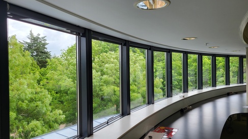 Looking through a window at the view of the trees from the second floor of Moore Library