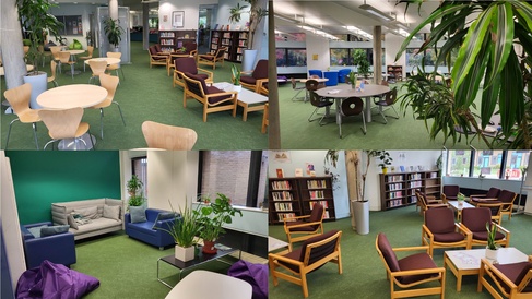 A collage of four photographs of the ground floor of Moore library, detailing sofas, tables and chairs, and lots of green leafy plants
